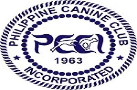 manila spaniel|Home » PCCI .